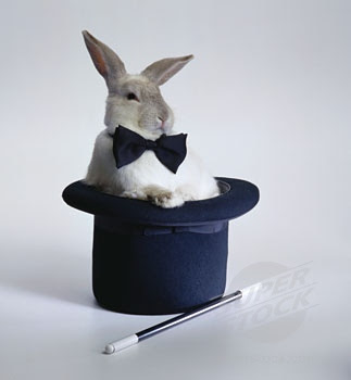 http://3.bp.blogspot.com/_HEgnDdxt_5o/SjMOT3s2H7I/AAAAAAAAAqc/KswHm7gb1Z0/s400/rabbit+top+hat.jpg