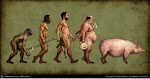 evolução da especie humana