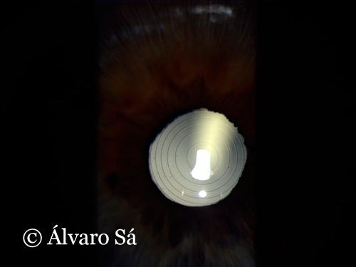 [1BH3VCTE1SPR89FC_Restor_00.JPG]