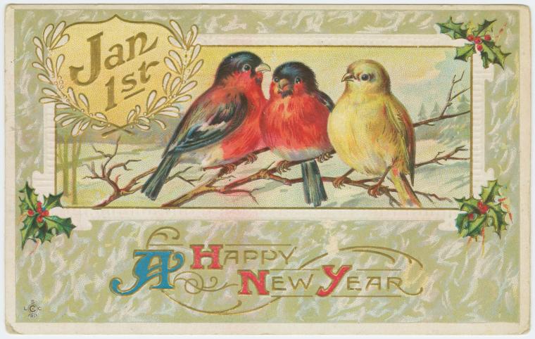 [birdyear.php]