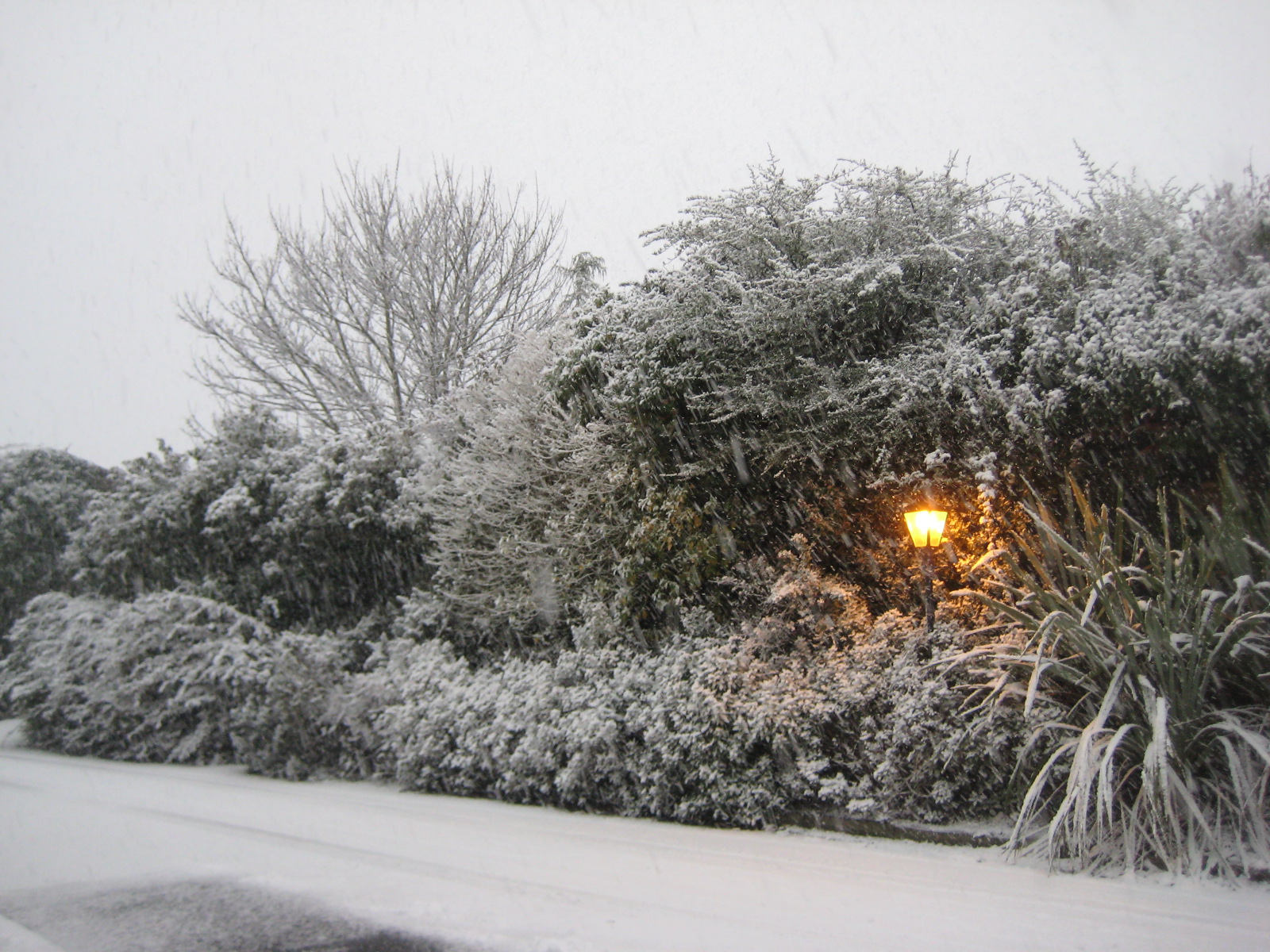 Ireland Snow