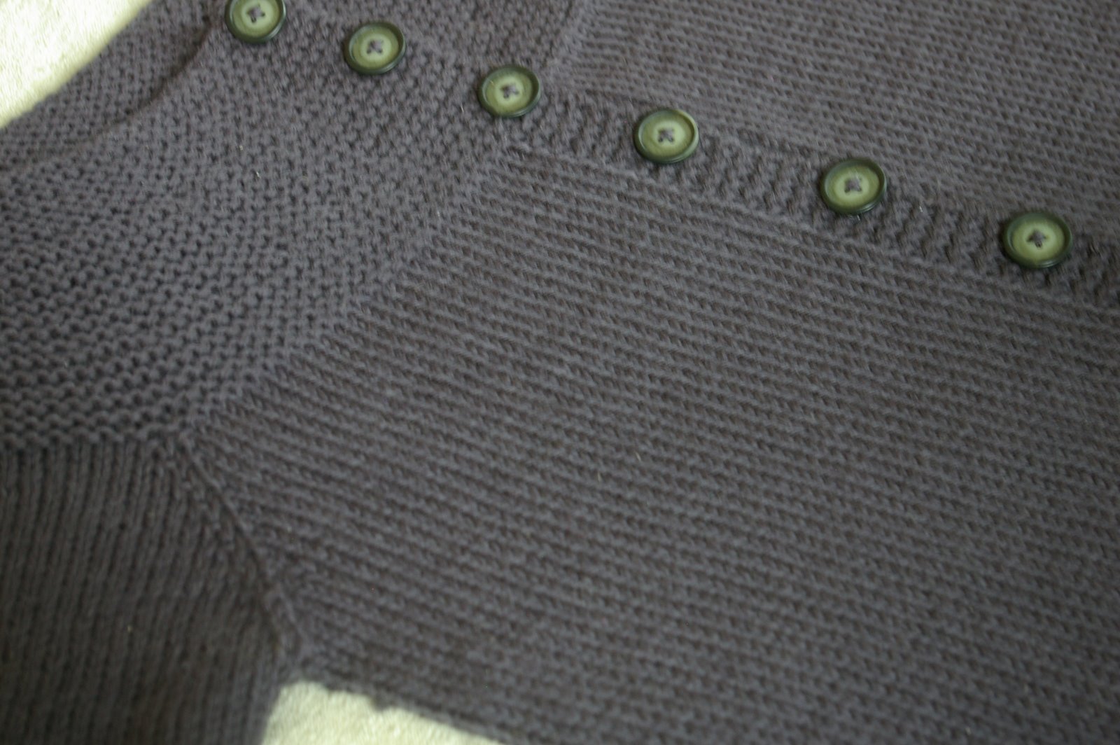 [IMGP9551.JPG]