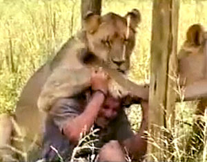 Kevin Richardson, The Lion Park, South Africa Kevin Richardson, The Lion Park, South Africa