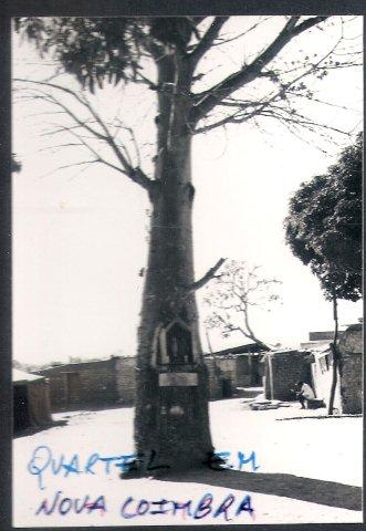 [Digitalizar0041.jpg]