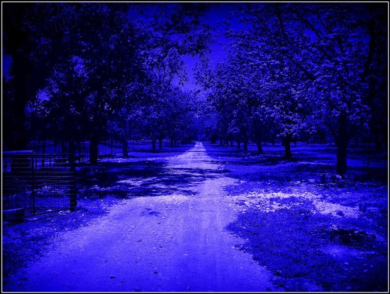 "Shot_of_the_day"