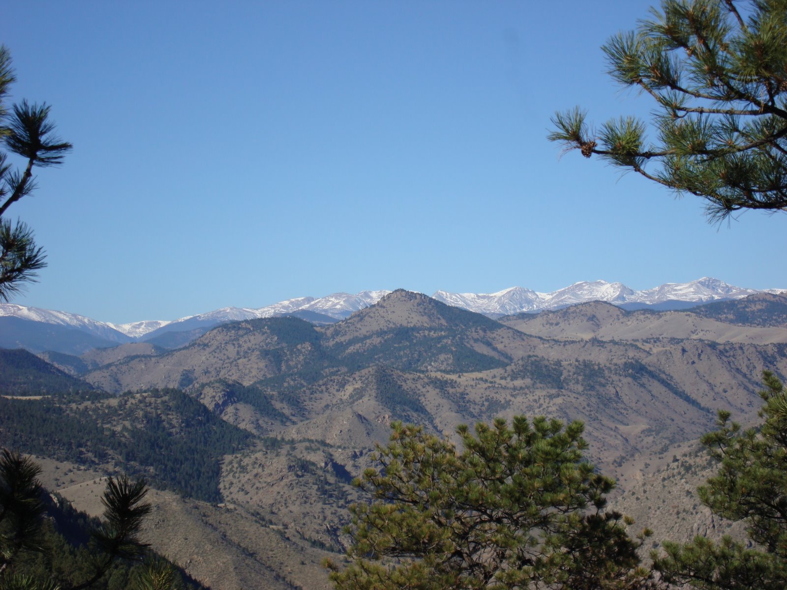 [DSC01098.JPG]