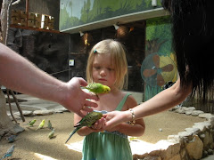 Zoo