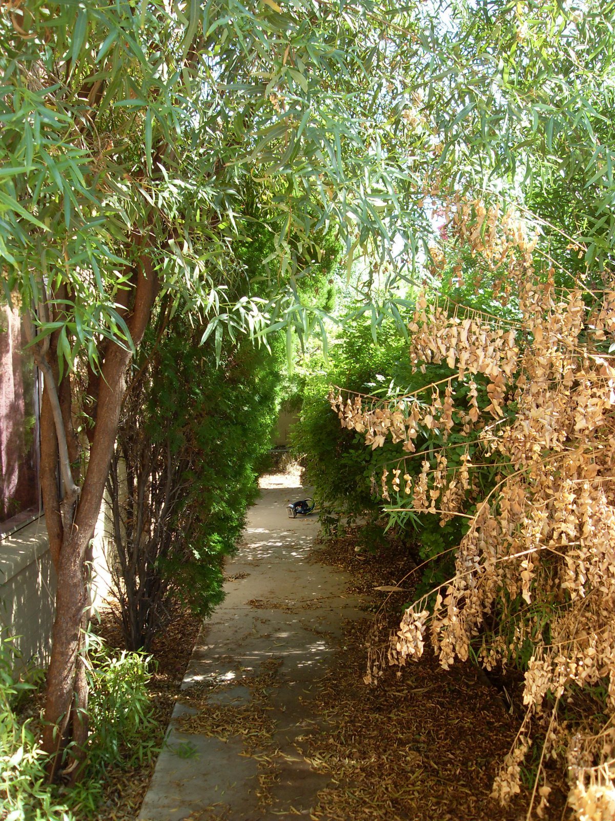 [SDC10702-784957.JPG]