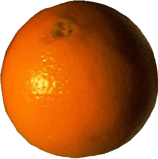 [litcrittoolkit-orange-1.gif]