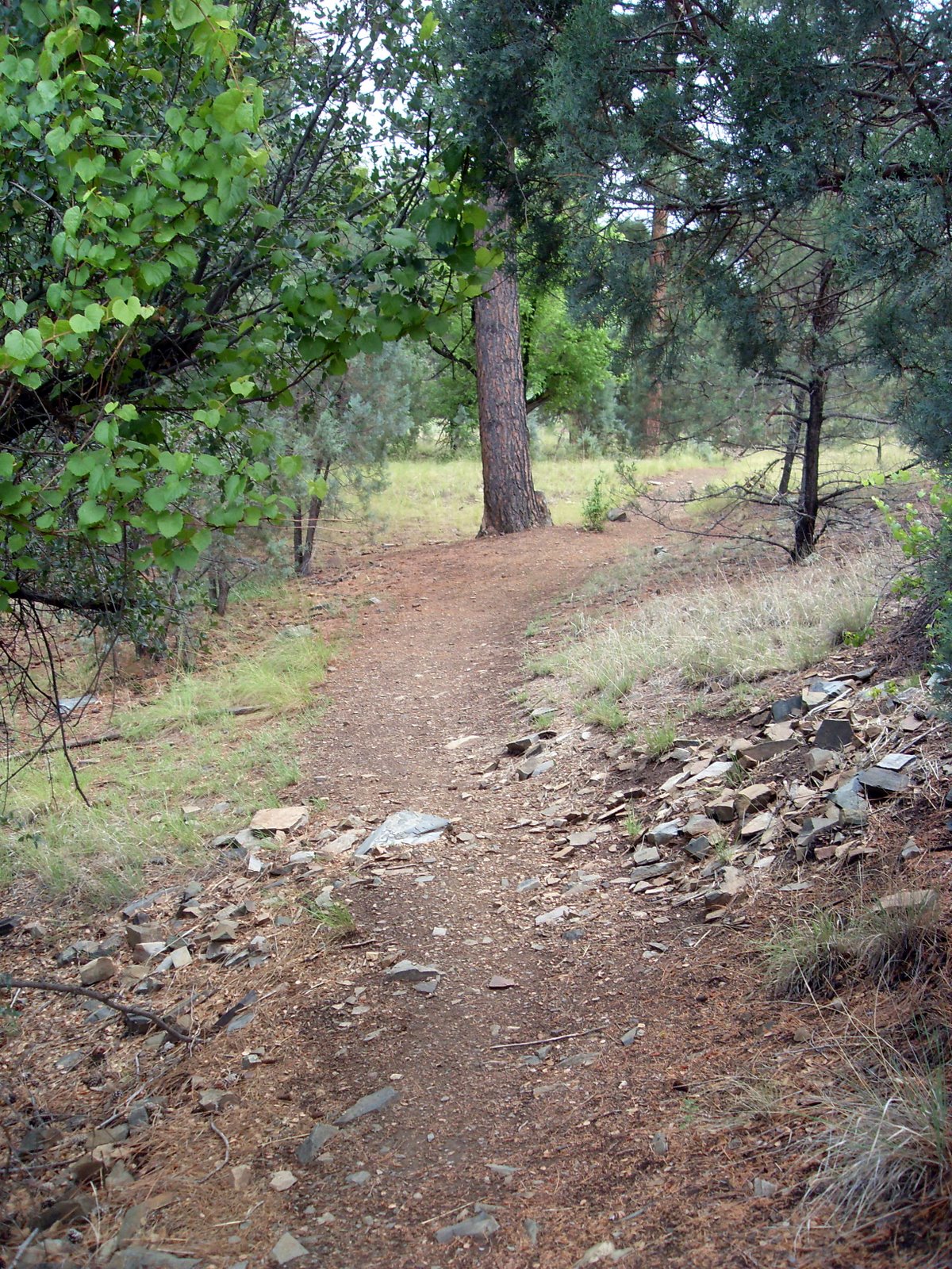 [SDC12777.JPG]