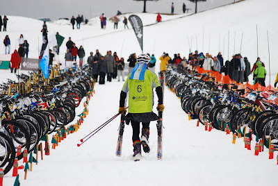 Resultado de imagen para tetra chapelco