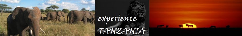 Experience Tanzania