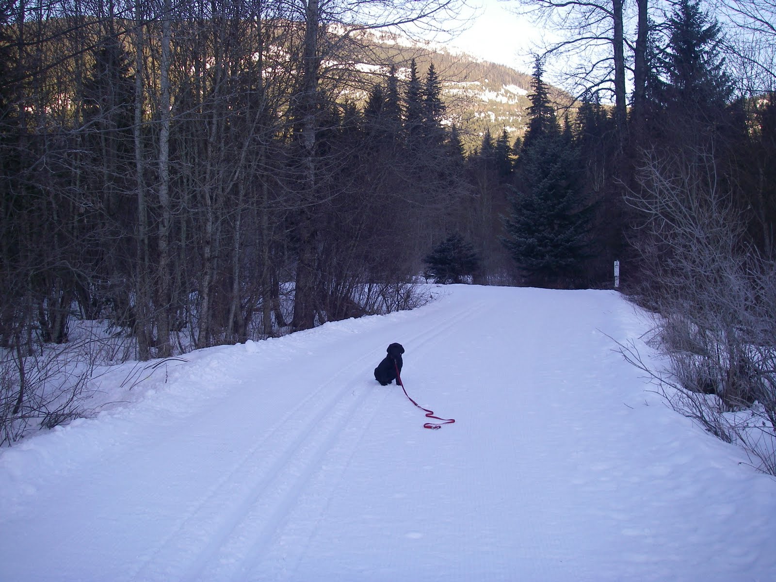 [practicing+whistle+recalls.JPG]