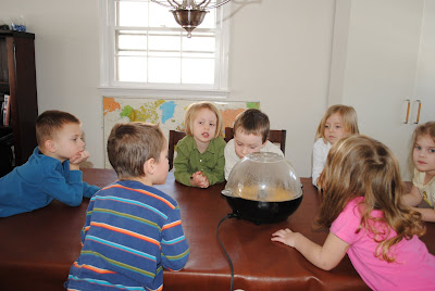 Our Cool Preschool: Sense of Sight