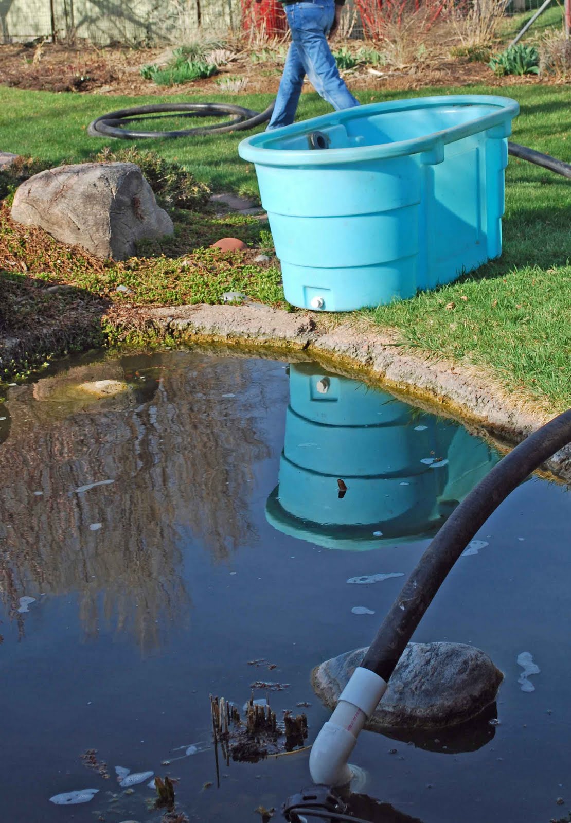 koi-pond-pump-cleaning-4