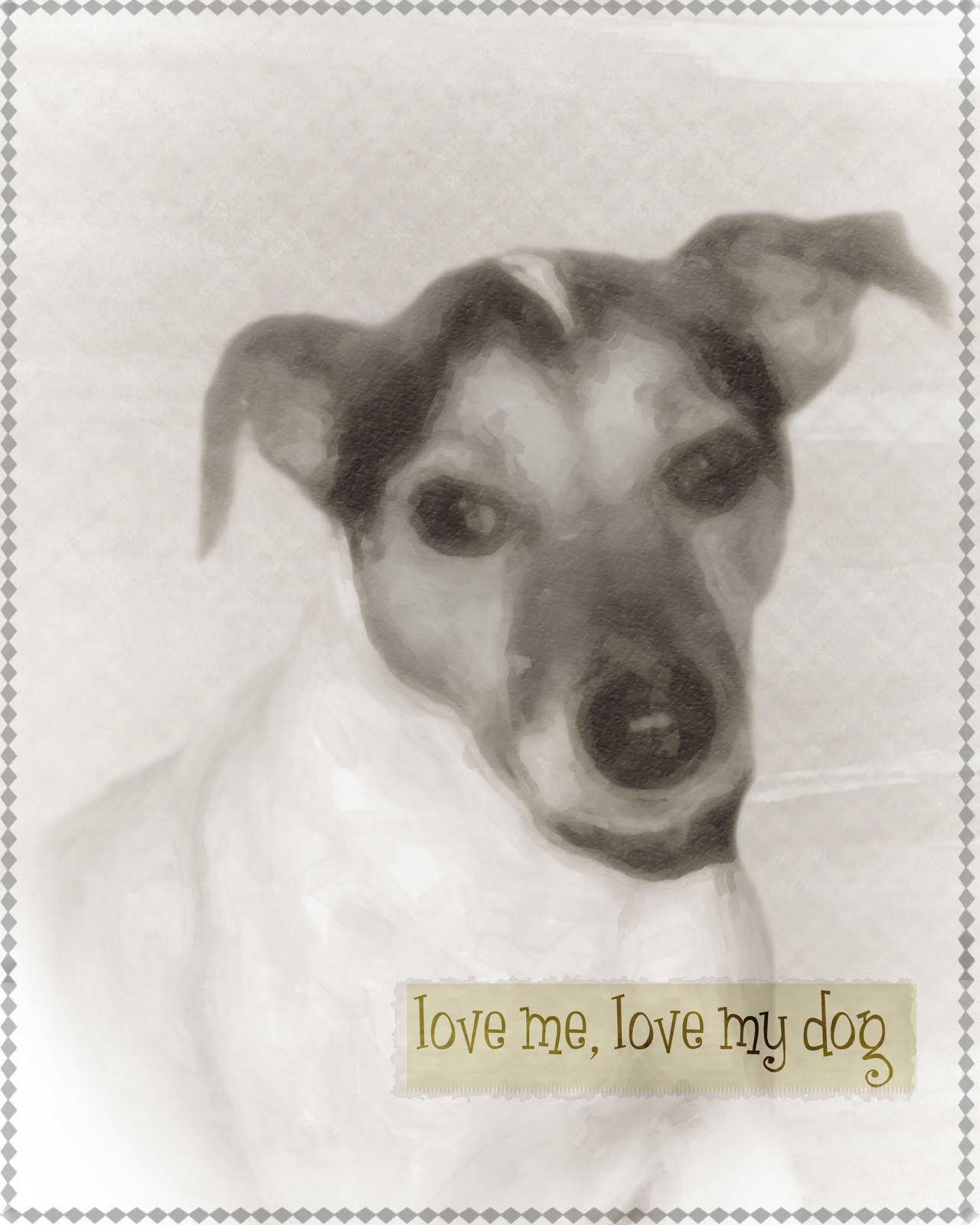 [LoveMeLoveBovie.jpg]