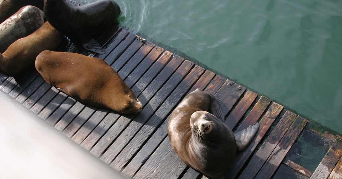 LittleOwlCrunchyMomma Natural Home Remedies for Croup