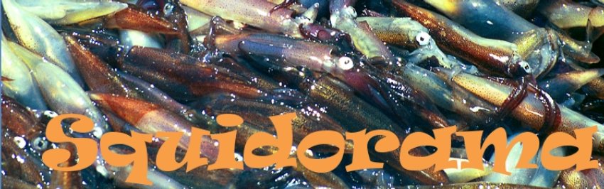 Squidorama