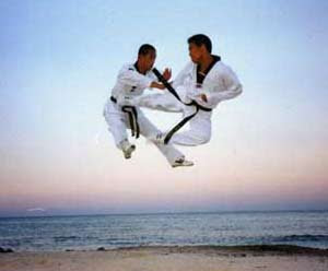 taekwondo fotos kicks living shuffle