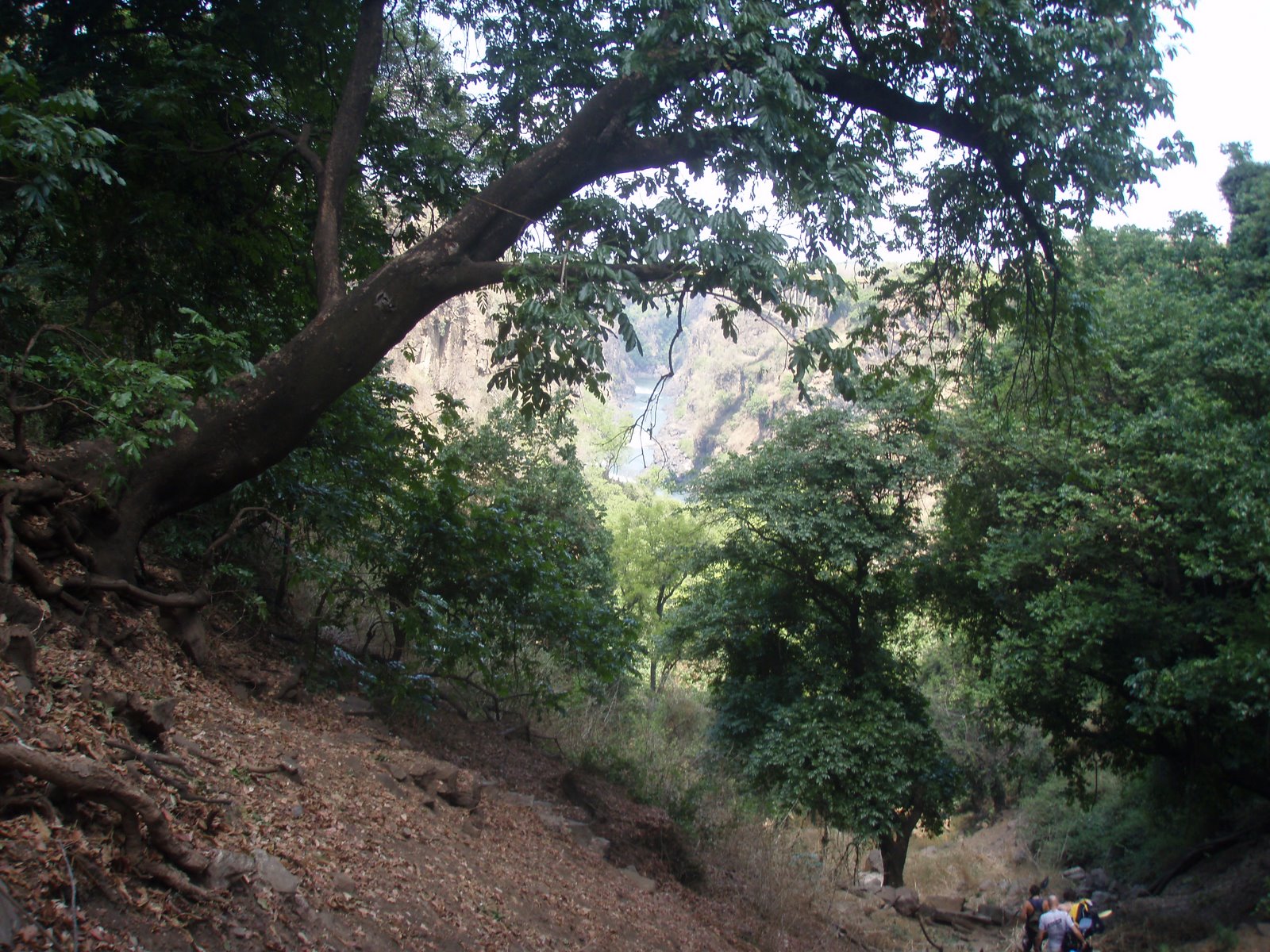 [PB040020.JPG]