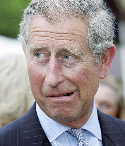 charles prince of wales cheat charles prince of wales cheat