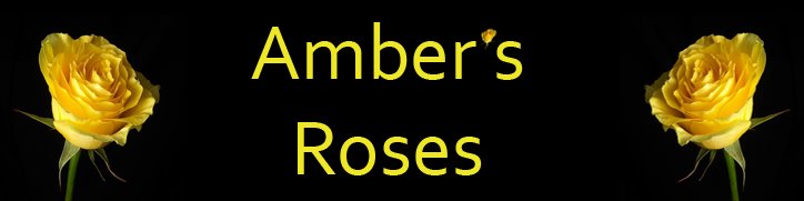 Amber's Roses
