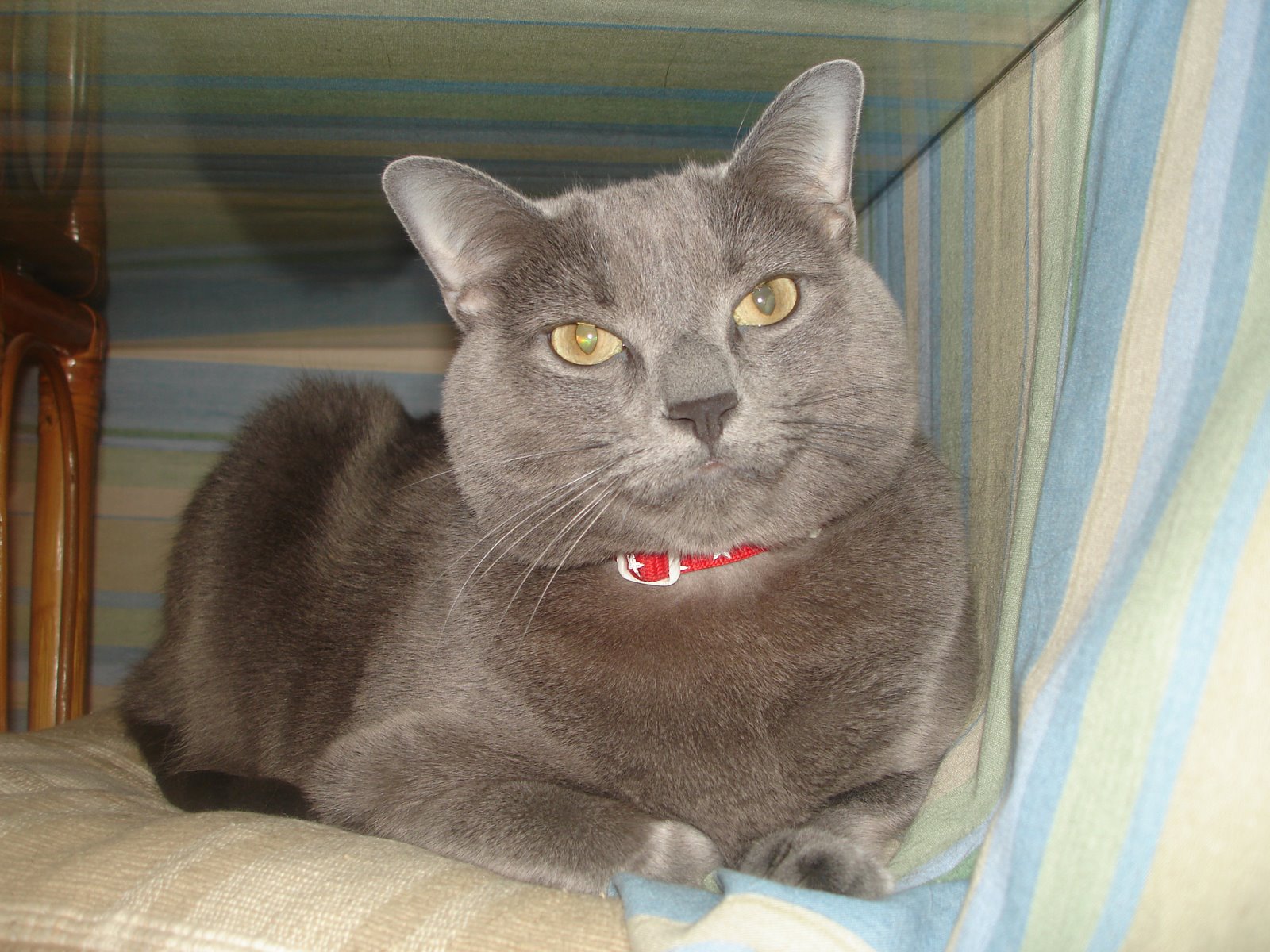 [DSC01185.JPG]
