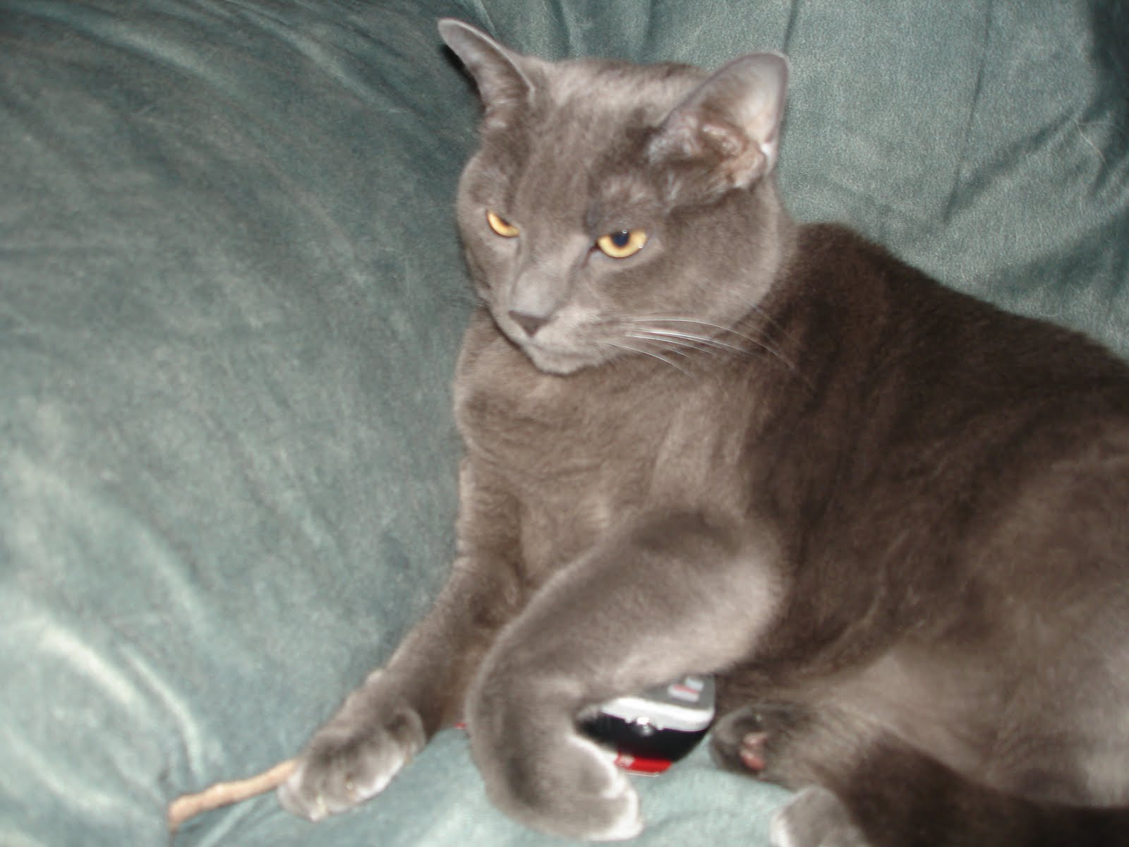 [DSC01653.JPG]