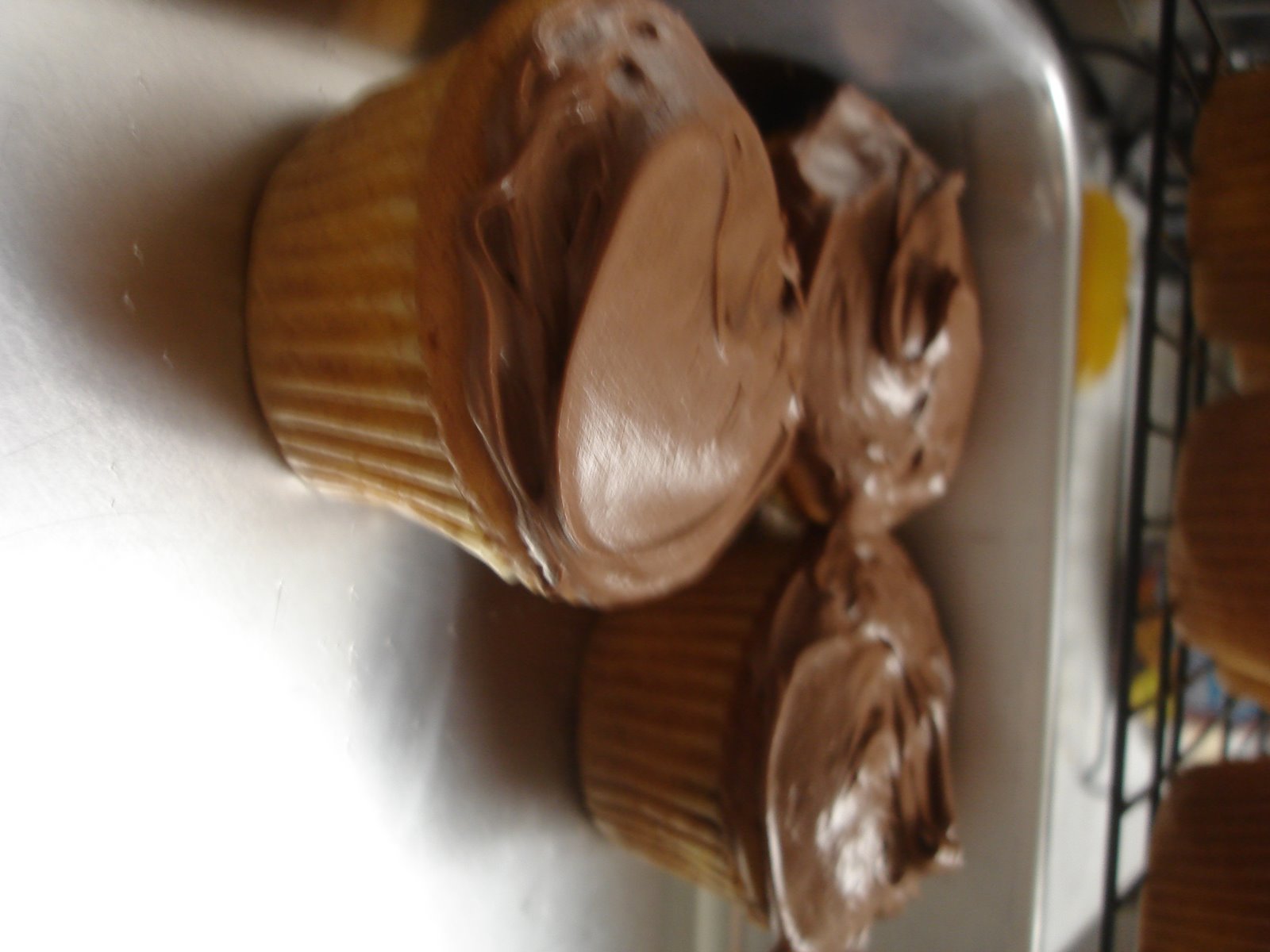 [DSC01526.JPG]