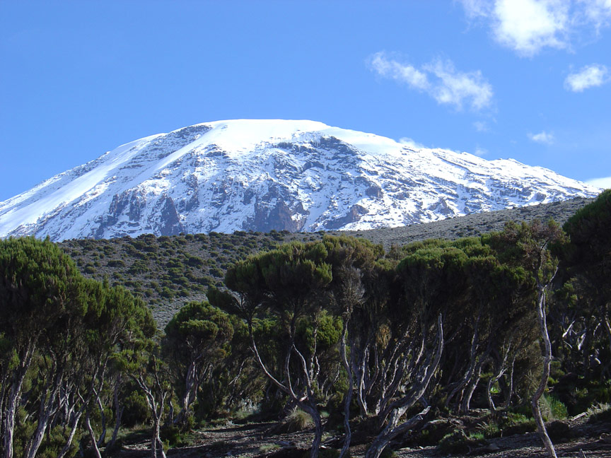 Mountain Kilimanjaro Pictures