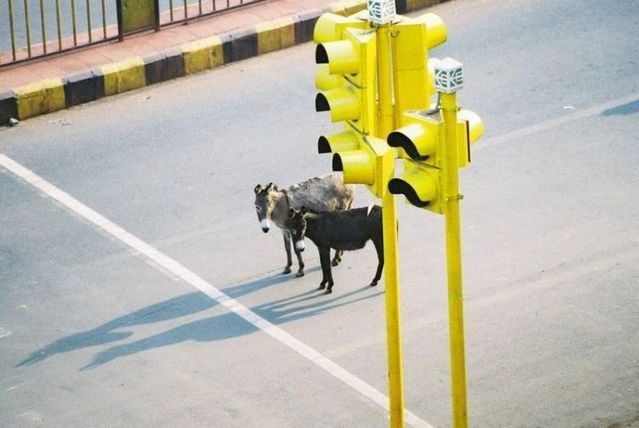 [partida,+largada+fugida.jpg]