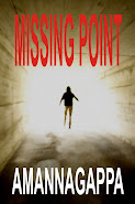 Missing Point (Novel)