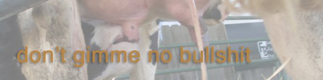 dont gimme no bullshit
