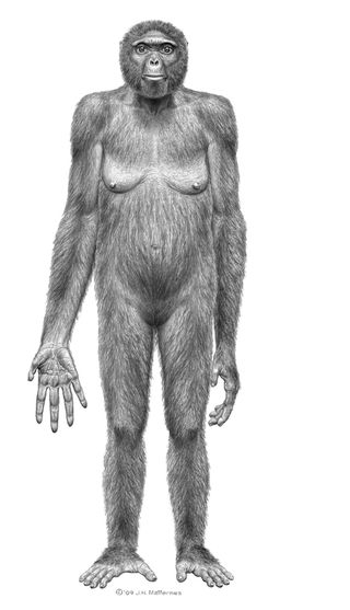 [Ardipithecus.jpg]
