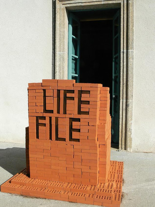 Carlos de Gredos. La vida se archiva fielmente. Ladrillos (2007-08)