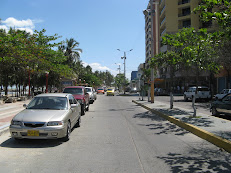 Avenida La Marina
