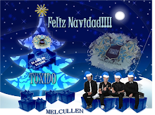 Feliz Navidad 2010!!