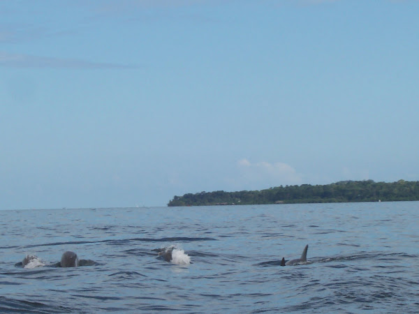 Panama, Arcipelago di Bocas