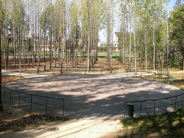 [Parque+5.JPG]