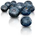 blueberry