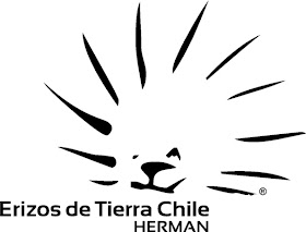 Erizos de Tierra Chile