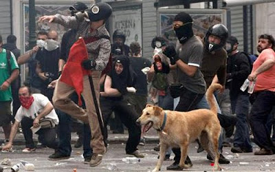 暴動犬 - 希臘暴動犬