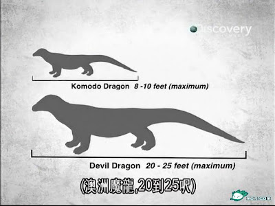 澳洲魔龍 真實性 - 怪獸檔案:澳洲魔龍的真實性