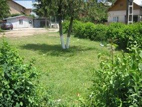 [locul+unde+se+va+construi+benzinaria+1.jpg]