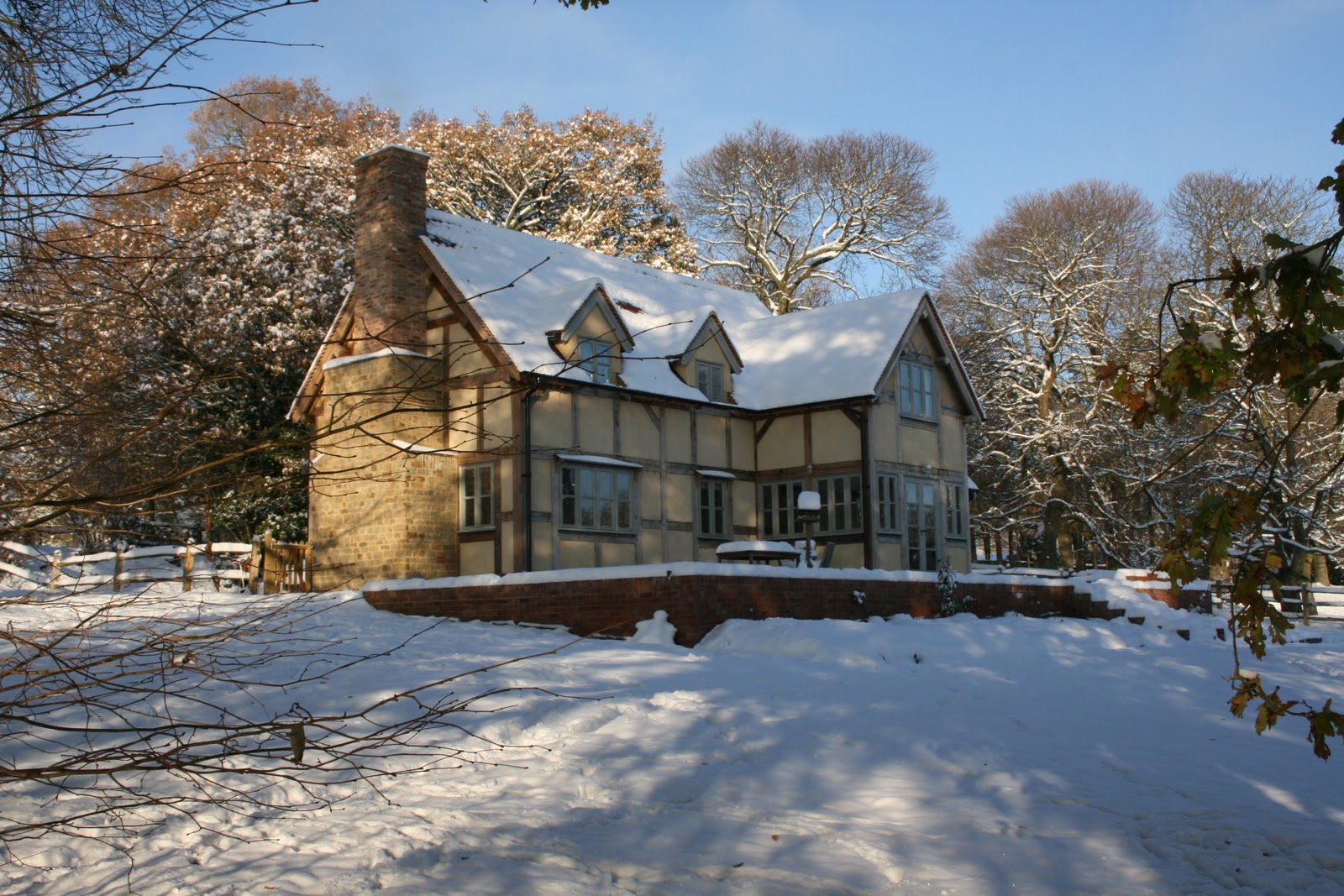 from little acorns......... December 2010