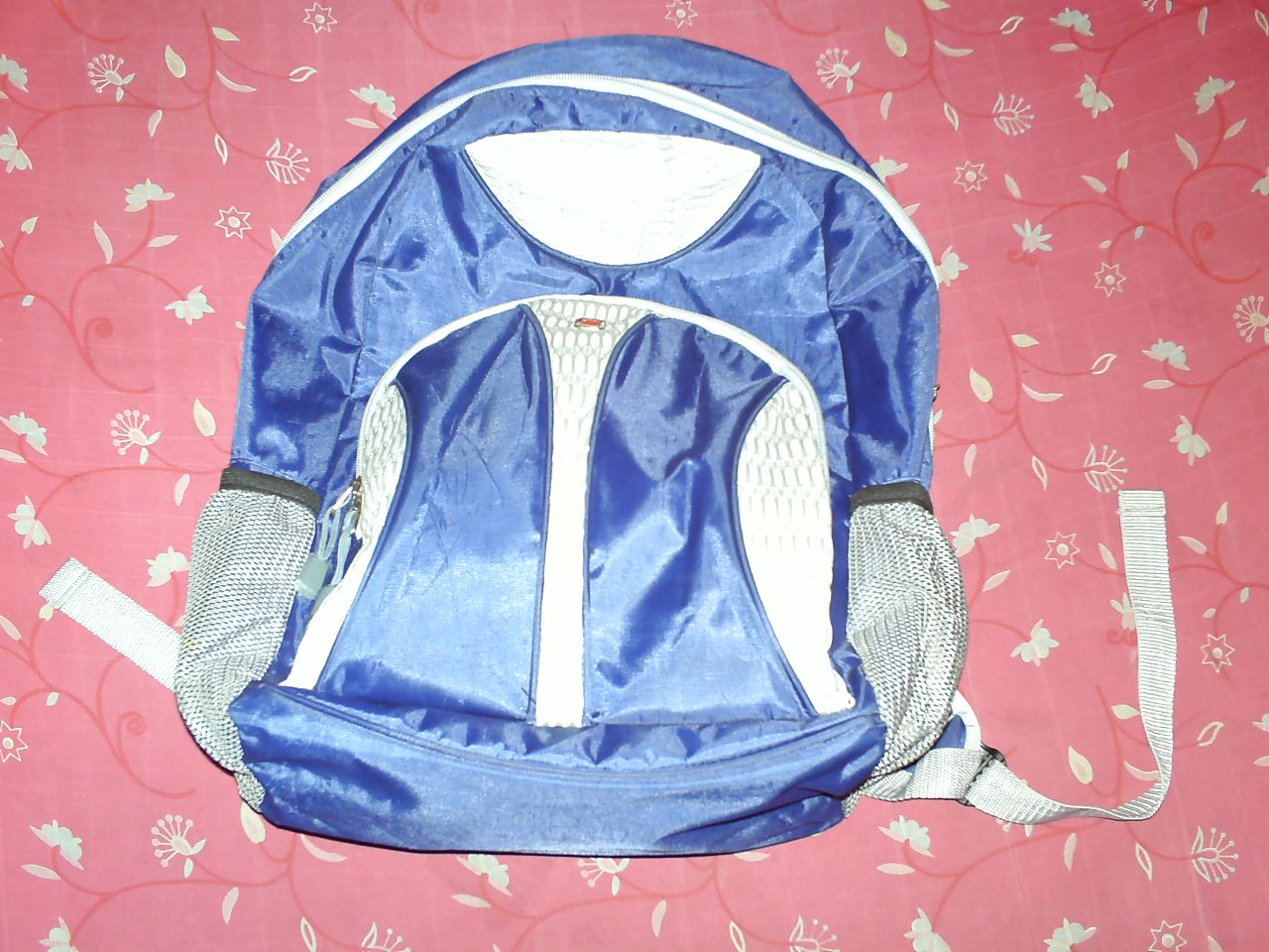 [PICT0017.JPG]