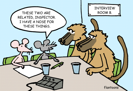 degree of relatedness in