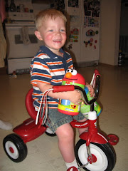 Colton's new tricycle from Granny & Papa