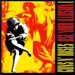 Use Your Illusion