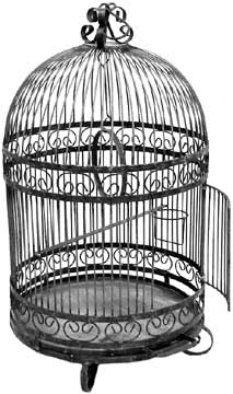 [birdcage_5.jpg]